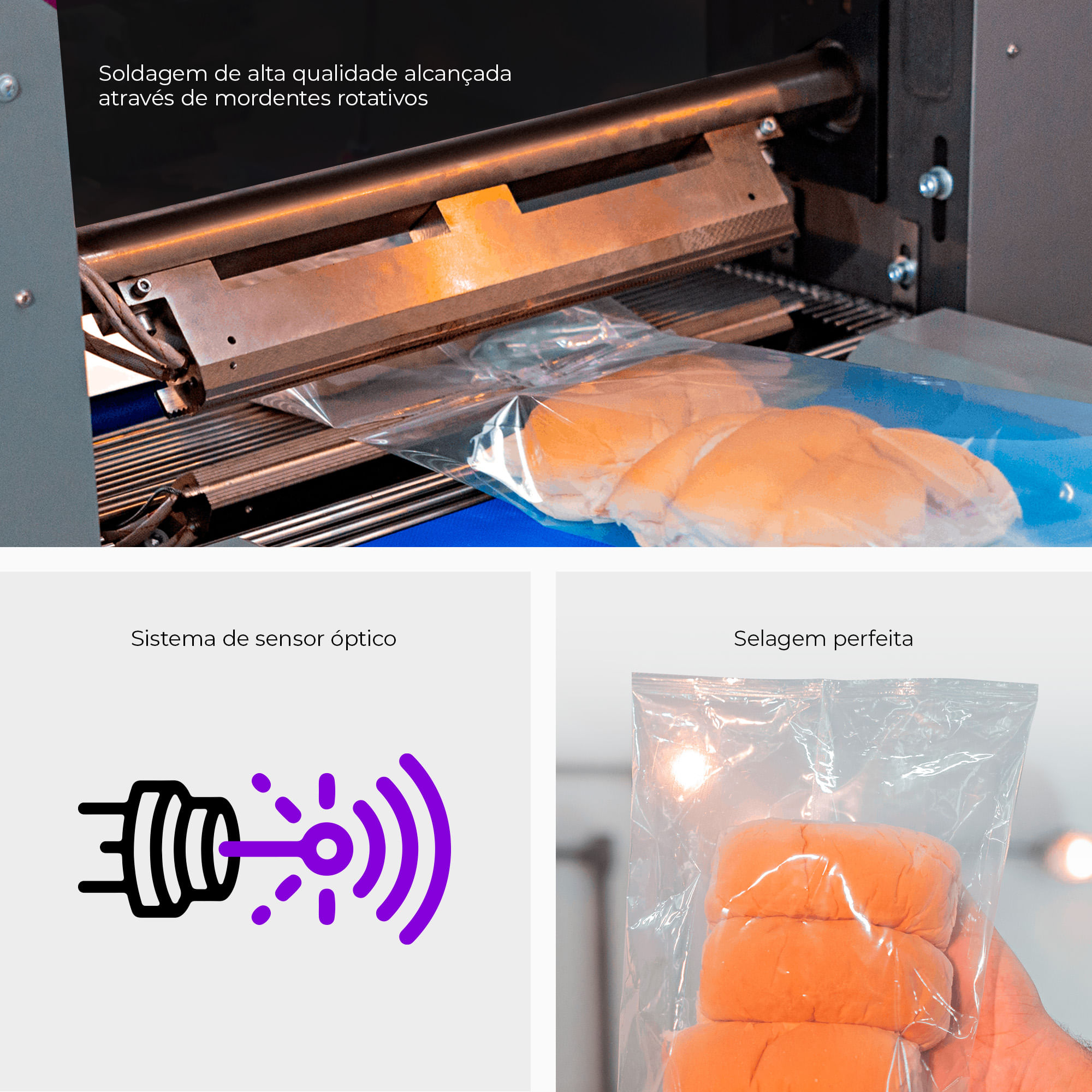 Flow Pack Convencional CAPM FP-800 RC - Cetro