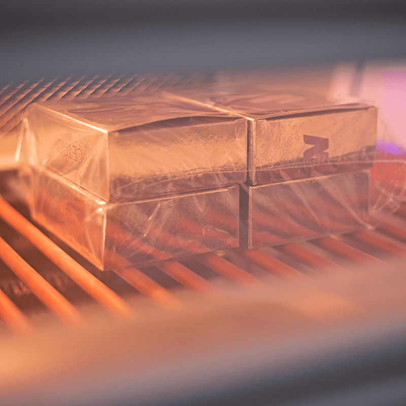 19-DSC01650-1000.png