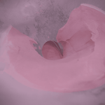 3-DSC05459-2000